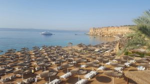 Отдых в Египте, ноябрь 2016, отель Reef Oasis Beach Resort 5*. Пляж так и манит...