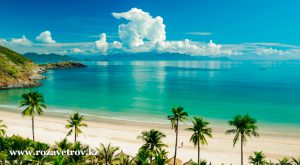 Туры в Гоа на конец февраля 2022 - эконом вариант отдыха