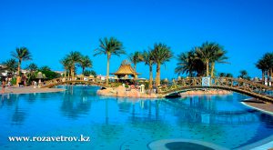 Отличные отели Египта - отдых на Красном море для любой категории туристов